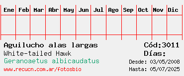 Estadisticas