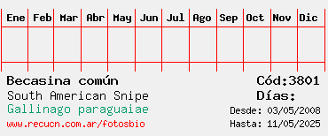 Estadisticas