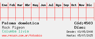 Estadisticas