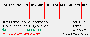 Estadisticas