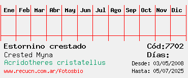 Estadisticas